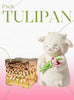 💖 Pack Tulipán – Amor que Dura para Siempre 🌷✨